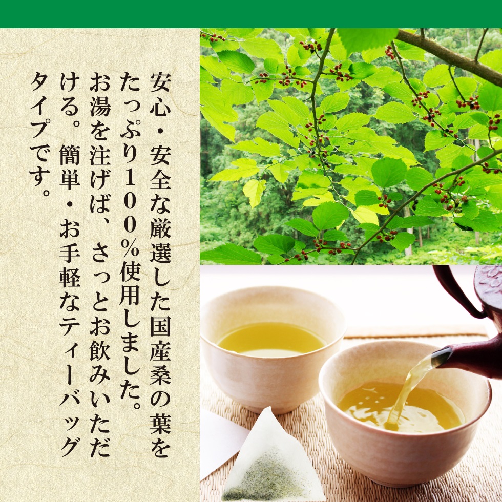 桑の葉TB