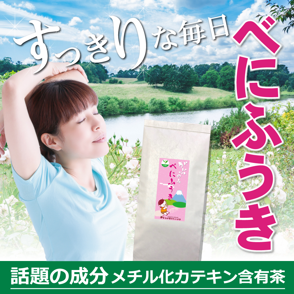 べにふうきメイン