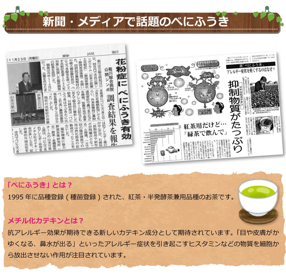 べにふうきメイン