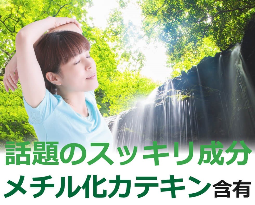 べにふうきメイン