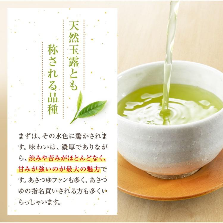 お茶 500g 鹿児島茶 がぶ飲み 二番茶 あさつゆ 茶葉 お茶の葉 お茶 500g 鹿児島茶 がぶ飲み 二番茶 あさつゆ 茶葉 お茶の葉