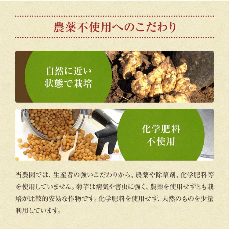 菊芋　せいさんしゃのこだわり　農薬不使用 化学肥料不使用 