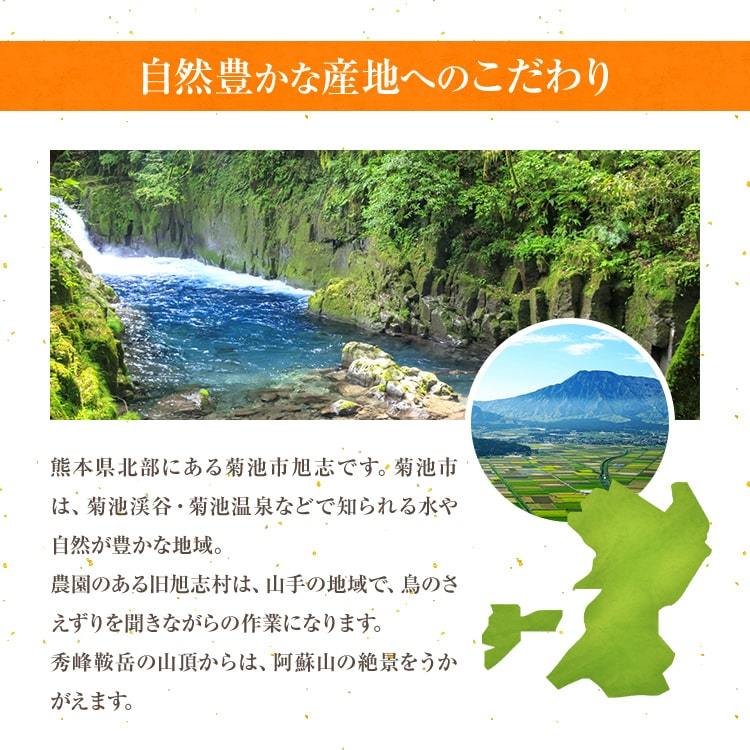菊芋茶の産地について　熊本県菊池市