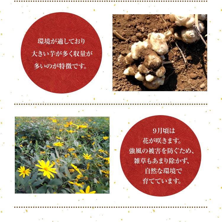 農薬不使用(無農薬)　