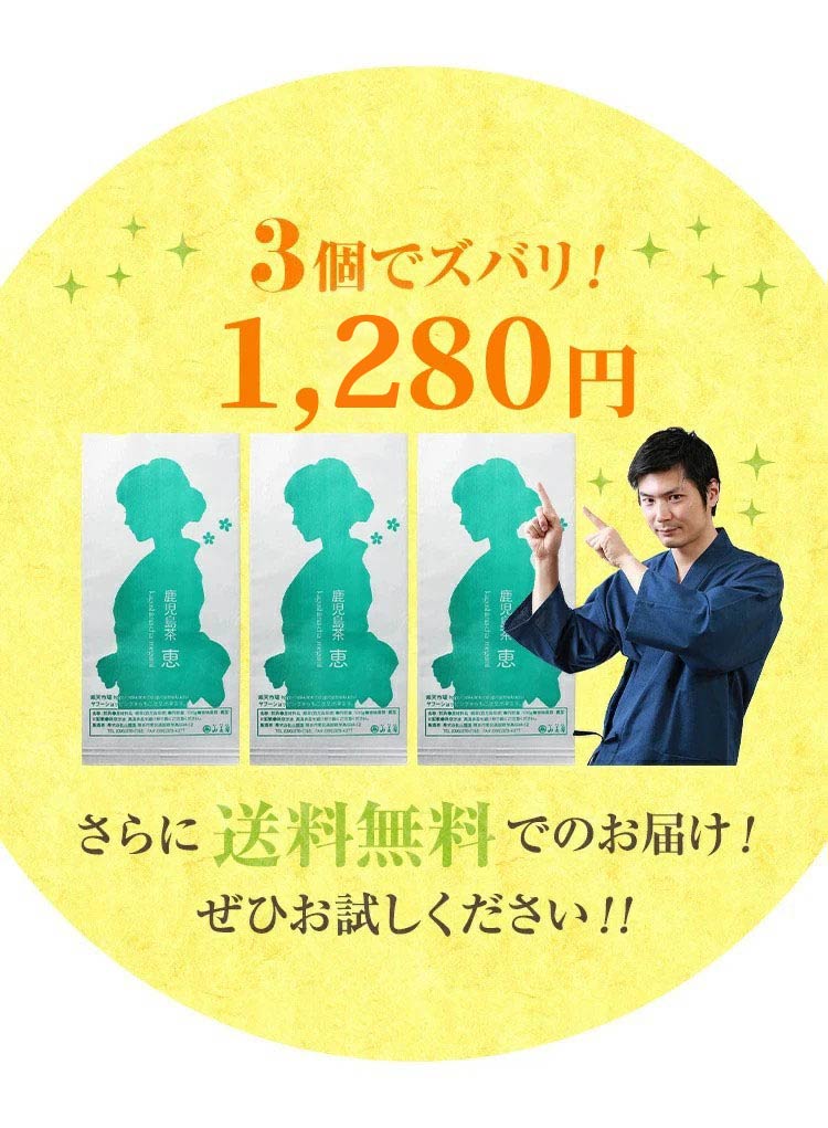 お茶 鹿児島茶 恵 100g×3個 緑茶 茶葉 お茶の葉 日本茶 煎茶 ポイント利用 | 山麓園 | 11