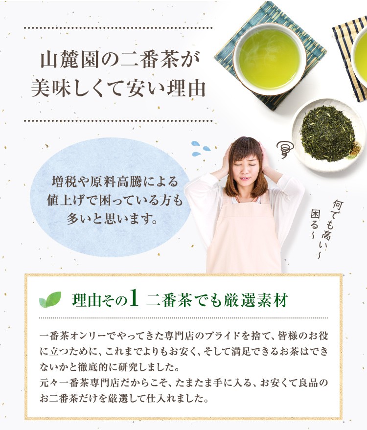 お茶 鹿児島茶 恵 100g×3個 緑茶 茶葉 お茶の葉 日本茶 煎茶