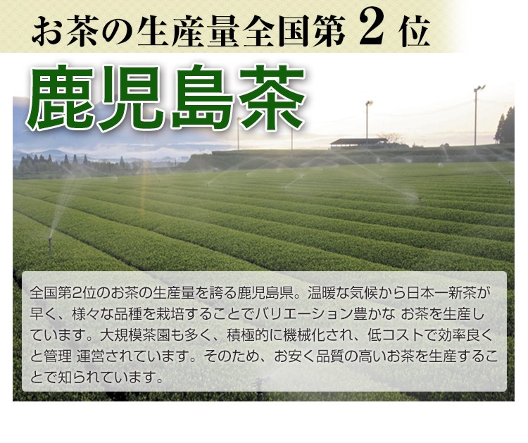 山麓園 鹿児島茶「桜」 100g 3個以上 送料無料 お茶 煎茶 知覧茶 山麓園 鹿児島茶「桜」 100g 3個以上 送料無料 お茶 煎茶 知覧茶