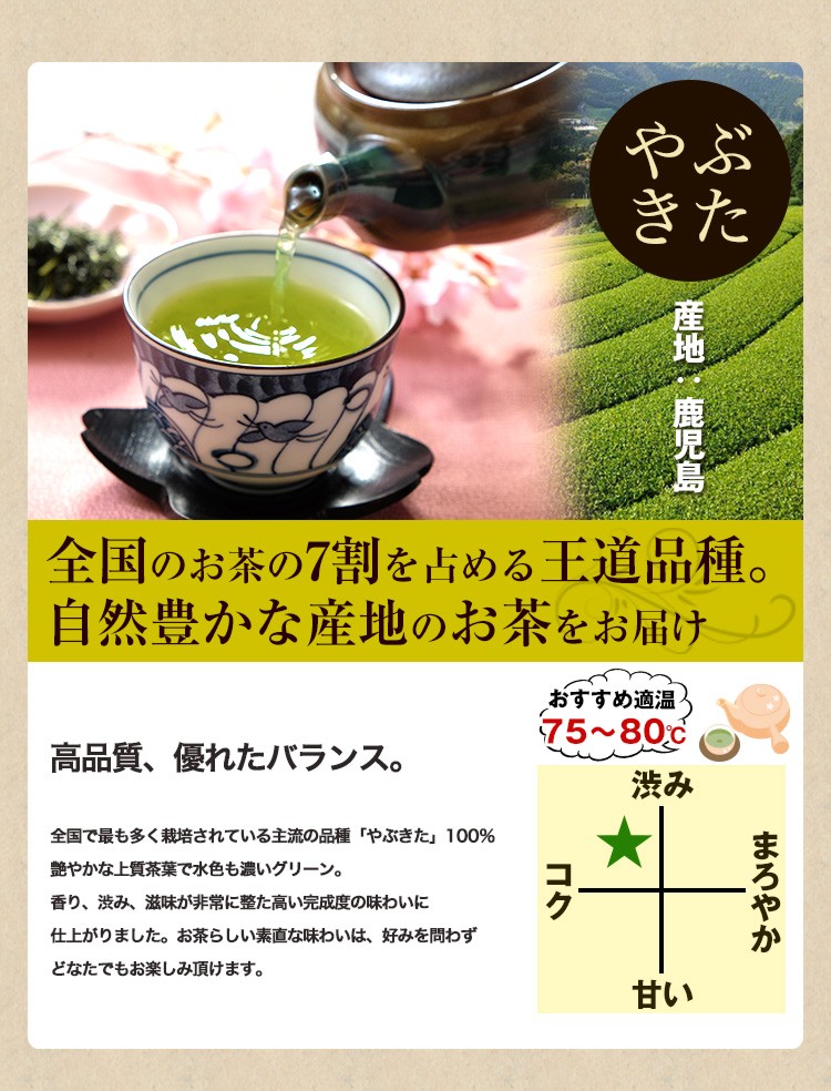 山麓園 鹿児島茶「桜」 100g 3個以上 送料無料 お茶 煎茶 知覧茶