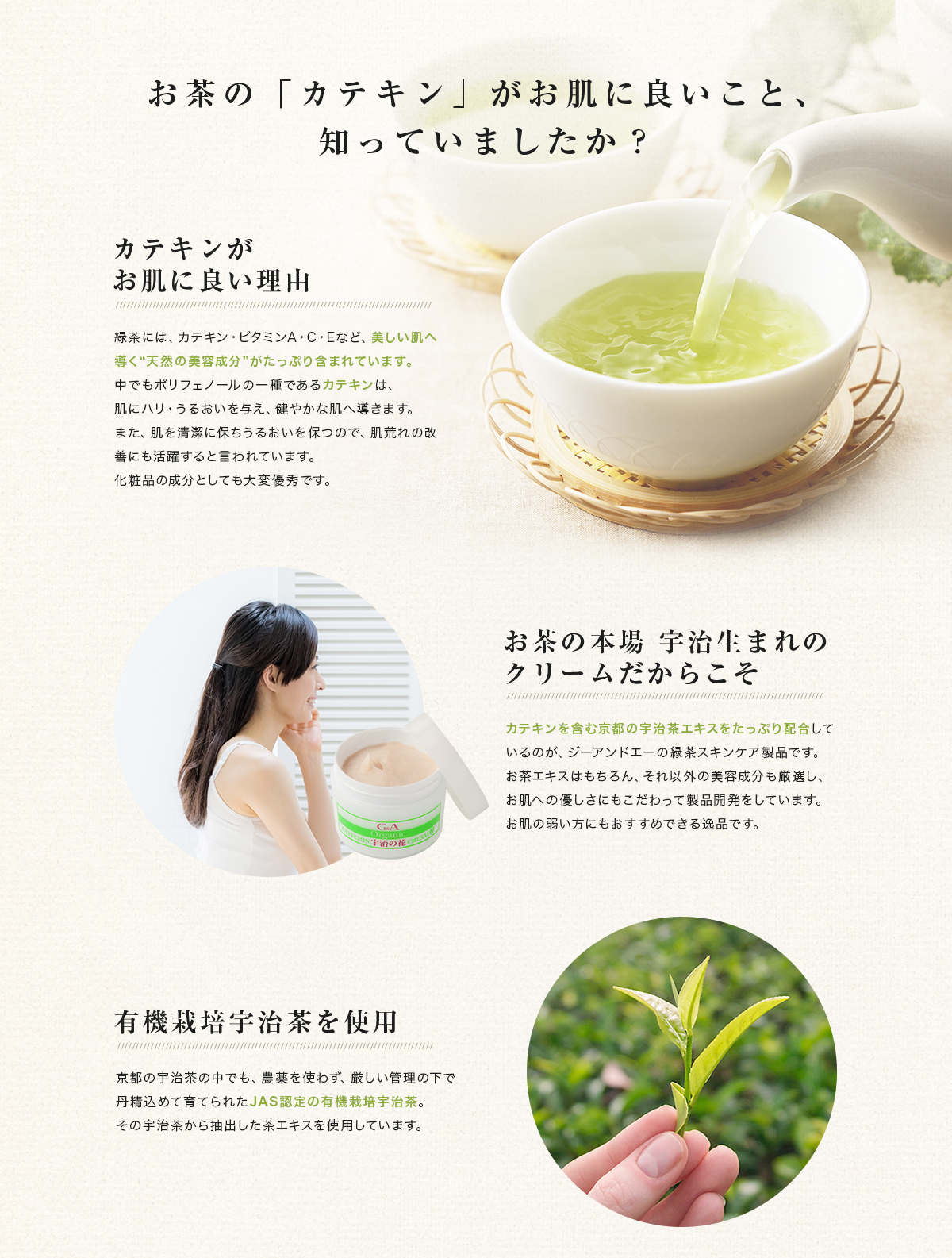 お茶の「カテキン」がお肌に良いこと、 知っていましたか？