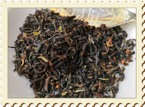 紅茶 ダージリン 茶缶付 スーレニー茶園 セカンドフラッシュ SUMMER