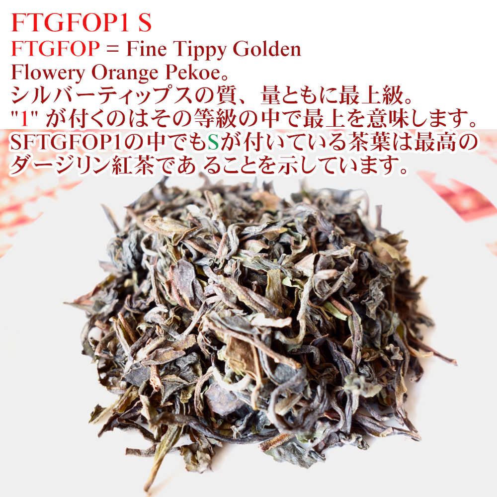 紅茶 ダージリン ミム茶園 ファースト FTGFOP1 S DJ1/2022 50g茶葉