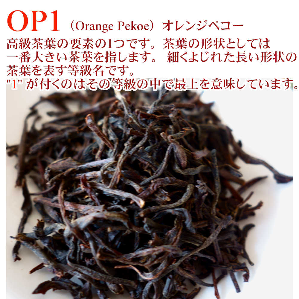 紅茶 茶葉 ヌワラエリヤ インバネス茶園 OP1/2022 50g 茶葉 リーフ :0200104-050:茶専科ティチャイチャイ - 通販 -  Yahoo!ショッピング