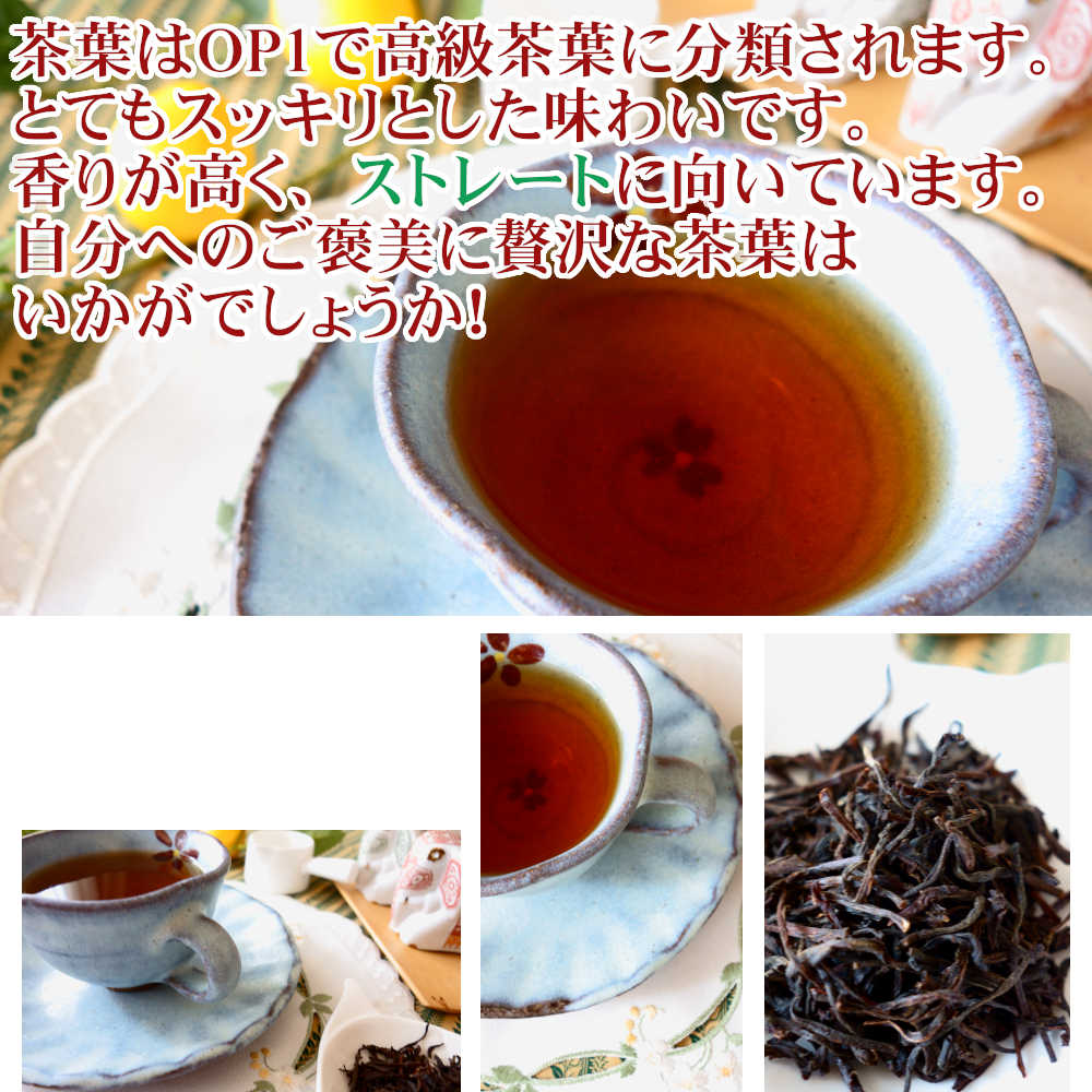 紅茶 茶葉 ヌワラエリヤ インバネス茶園 OP1/2022 50g 茶葉 リーフ :0200104-050:茶専科ティチャイチャイ - 通販 -  Yahoo!ショッピング