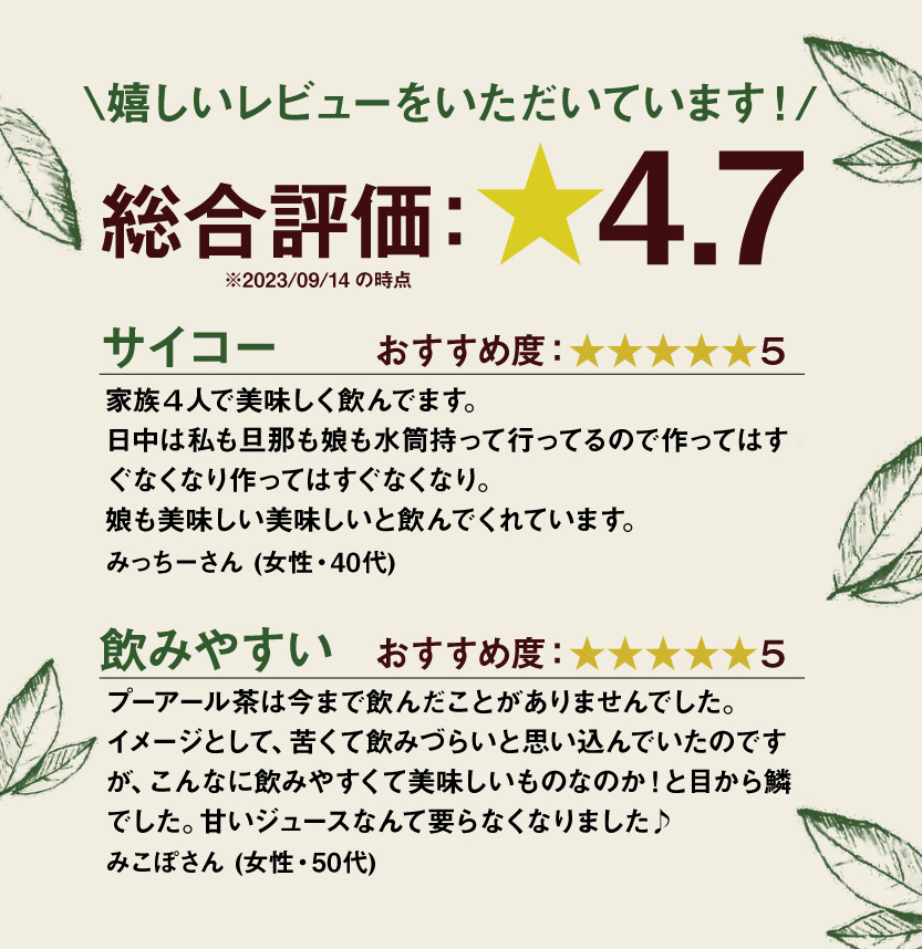 プーアール茶 ダイエット お茶 健康茶 中国茶 プーアル茶 スッキリ ポット用35個入 お茶 中国茶 ダイエットティー ダイエット茶 健康茶 関連画像4