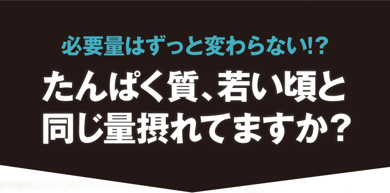 ホッと たんぱく茶 2袋セット プロテイン たんぱく質 甘くない 緑茶粉末 ホット 大豆プロテインEZ 約60杯分｜tealife｜04