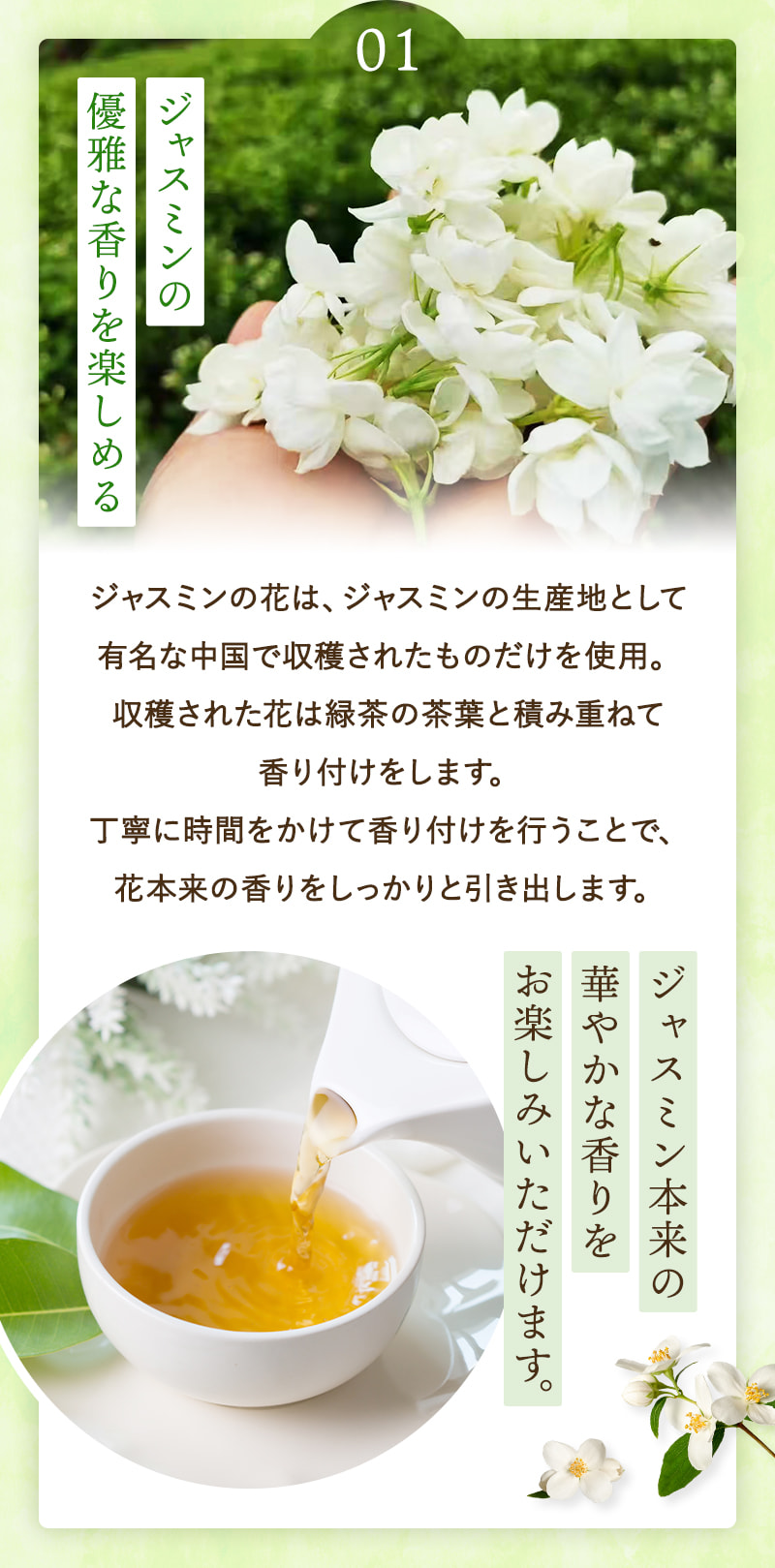 ジャスミン茶 ジャスミンティー50個入 ジャスミン ティーバッグ ティーパック 茶葉 水出し お湯出し お茶 緑茶 花茶 中国茶 茉莉花茶 無香料 無添加 関連画像4