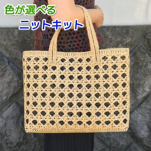 ハマナカ 春夏毛糸 編み物 キット バッグ エコアンダリヤで編む八つ目