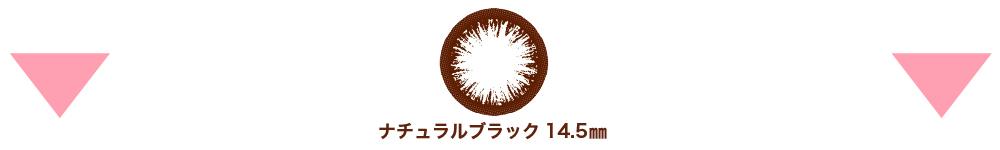 レンズケース内