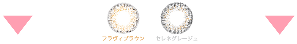 レンズケース内