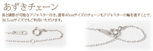 チェーン詳細画像