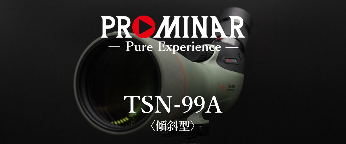 TSN-99A