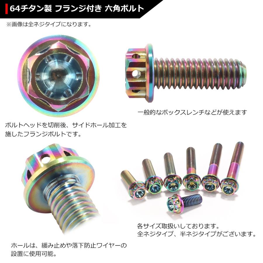 64チタンボルト M6×40mm P1.0 ホールヘッド 六角ボルト フランジ付 焼きチタンカラー 1個 JA058 | ブランド登録なし | 02