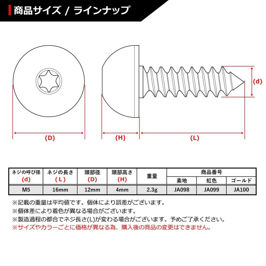 64チタンネジ M5×16mm トラスヘッド タッピングネジ トルクス穴 シルバーカラー 1個 JA098 | ブランド登録なし | 01