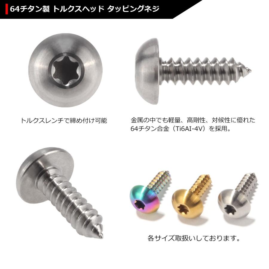 64チタンネジ M5×16mm トラスヘッド タッピングネジ トルクス穴 シルバーカラー 1個 JA098 | ブランド登録なし | 02