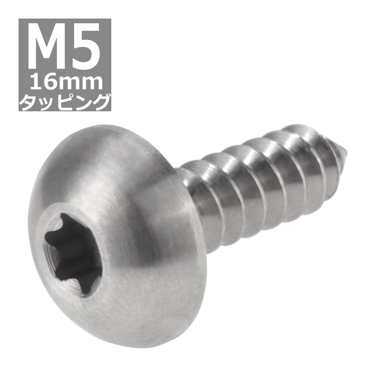 64チタンネジ M5×16mm トラスヘッド タッピングネジ トルクス穴 シルバーカラー 1個 JA098 | ブランド登録なし | 03