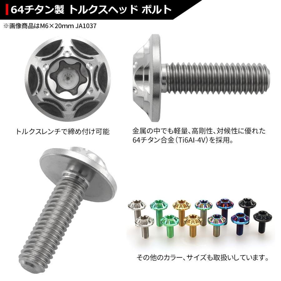 64チタンボルト M6×15mm P1.0 頭部径16mm ワイドフランジ トルクス穴 ボタンボルト シルバーカラー 1個 JA1031 | ブランド登録なし | 02