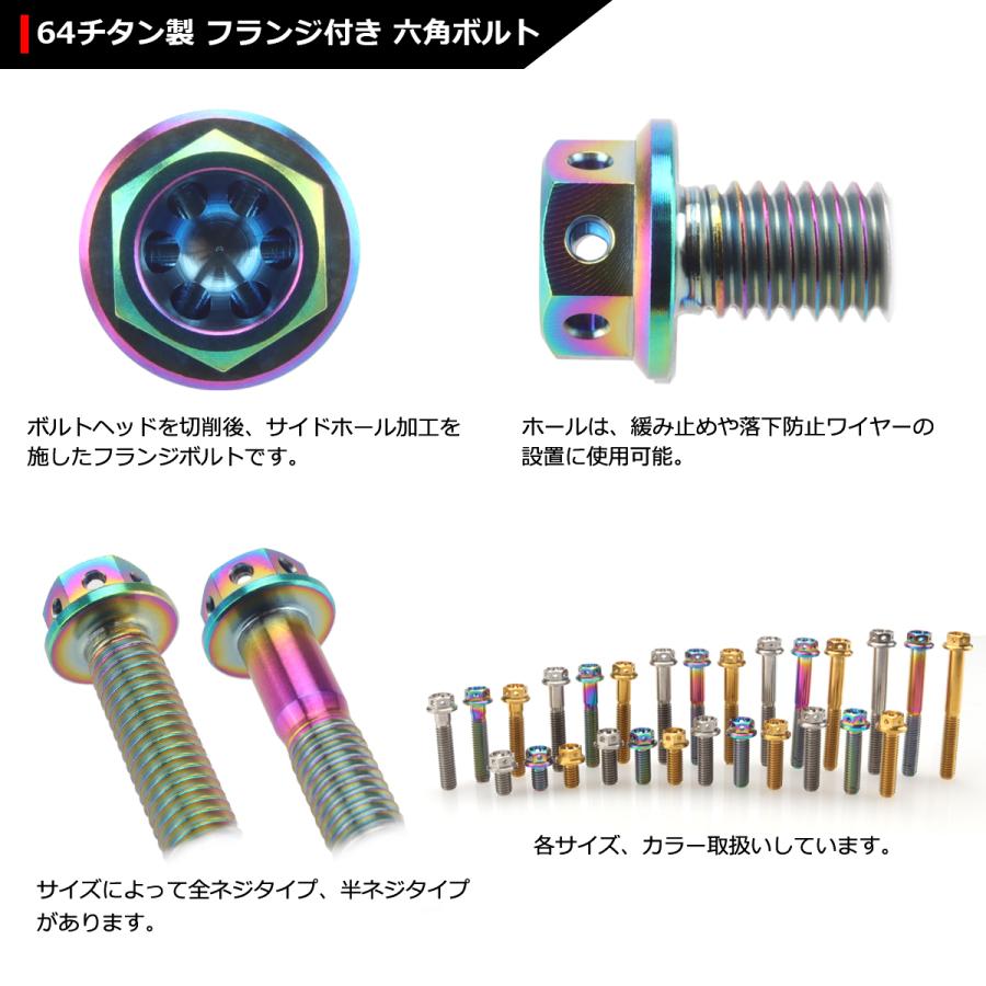 64チタンボルト M6×60mm P1.0 ホールヘッド 六角ボルト フランジ付 焼きチタンカラー ライトカラー  1個 JA1118 | ブランド登録なし | 02