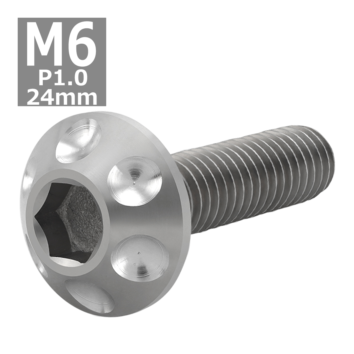 64チタンボルト M6×24mm P1.0 頭部径14mm テーパー ホールヘッド トルクス穴 ワイドフランジ シルバーカラー 1個 JA1129 | ブランド登録なし | 03