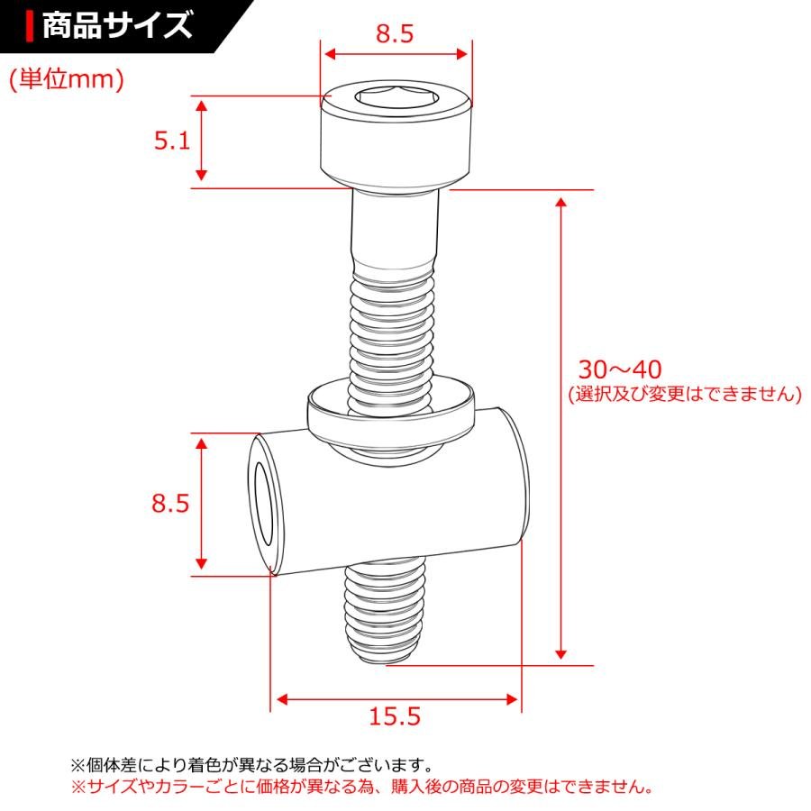64チタンボルト M5×30mm トムソン シートポスト用 固定ボルト 互換品 焼きチタンカラー 2個セット JA471 | ブランド登録なし | 01