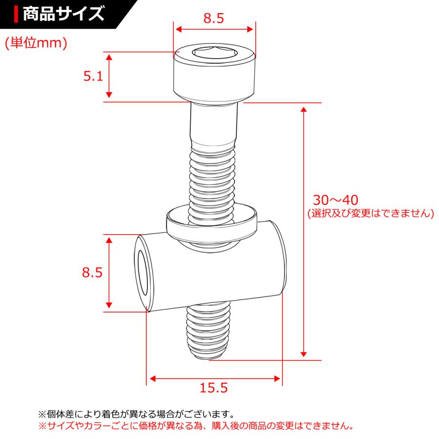 64チタンボルト M5×40mm トムソン シートポスト用 固定ボルト 互換品 焼きチタンカラー 2個セット JA477 | ブランド登録なし | 01