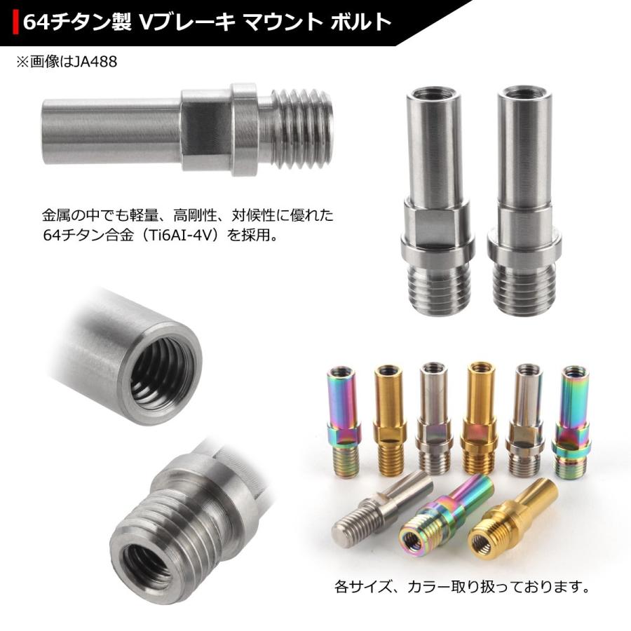 64チタンボルト M10 P1.25 Vブレーキ マウント ボルト カンチブレーキ ピボットボルト シルバーカラー 素地 2個セット JA488 | ブランド登録なし | 02