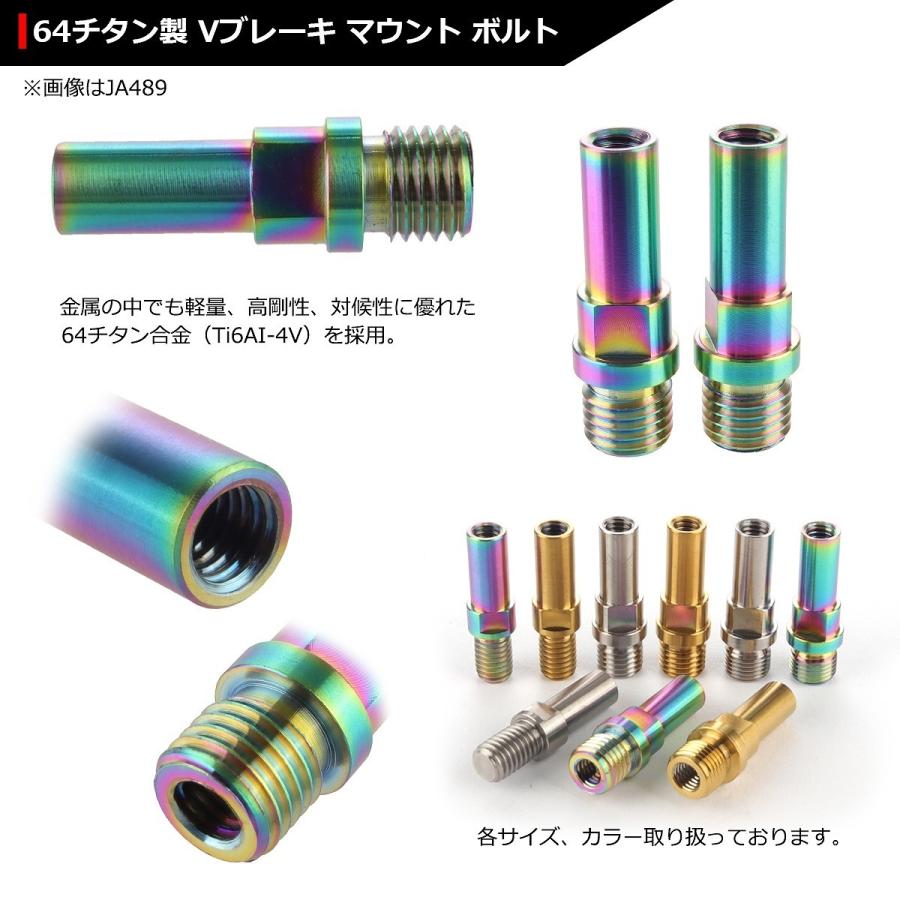 64チタンボルト M10 P1.25 Vブレーキ マウント ボルト カンチブレーキ ピボットボルト 焼きチタンカラー 虹色 2個セット JA489 | ブランド登録なし | 02