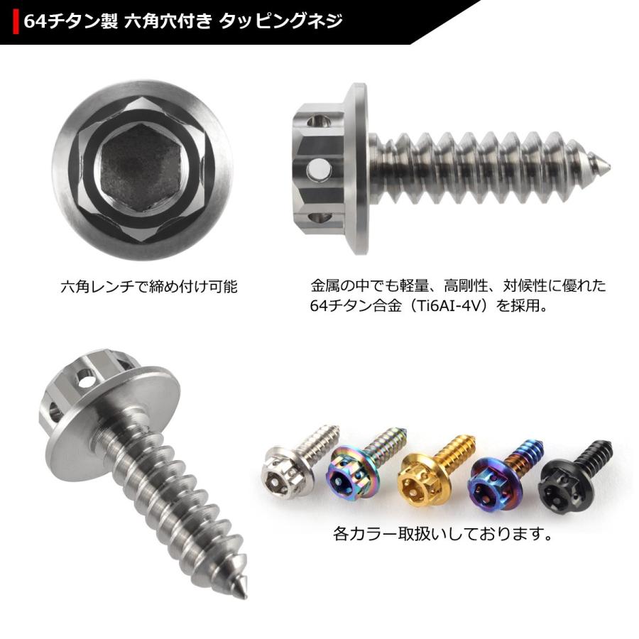 64チタンネジ M5×17mm ヘキサゴンヘッド タッピングネジ 六角穴付き シルバーカラー 素地 1個 JA603 | ブランド登録なし | 02