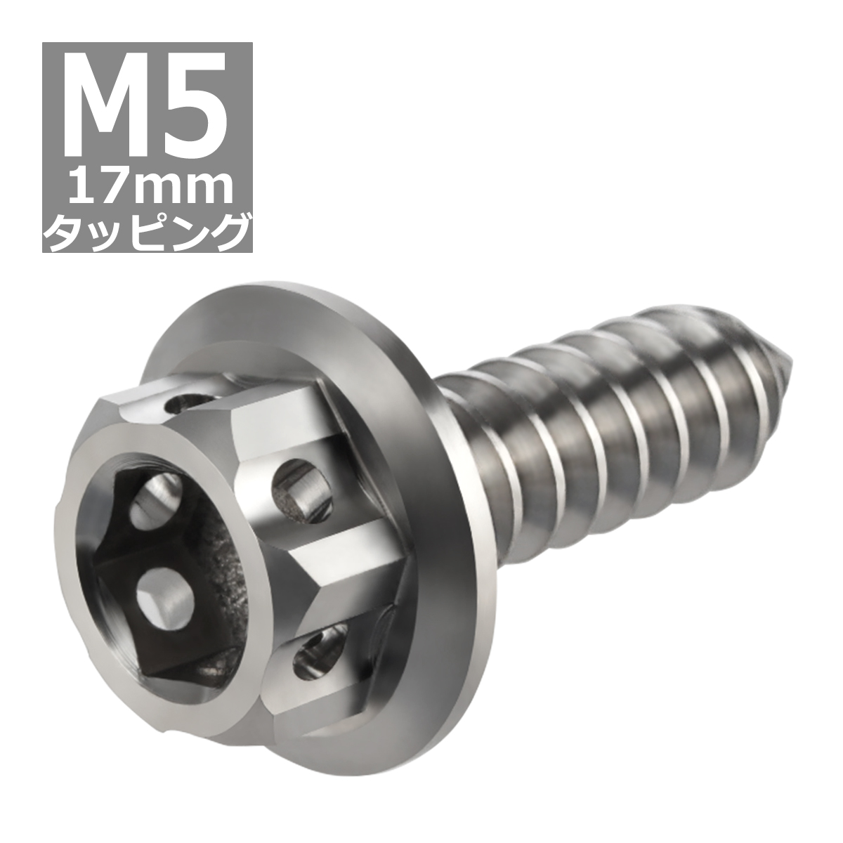 64チタンネジ M5×17mm ヘキサゴンヘッド タッピングネジ 六角穴付き シルバーカラー 素地 1個 JA603 | ブランド登録なし | 03