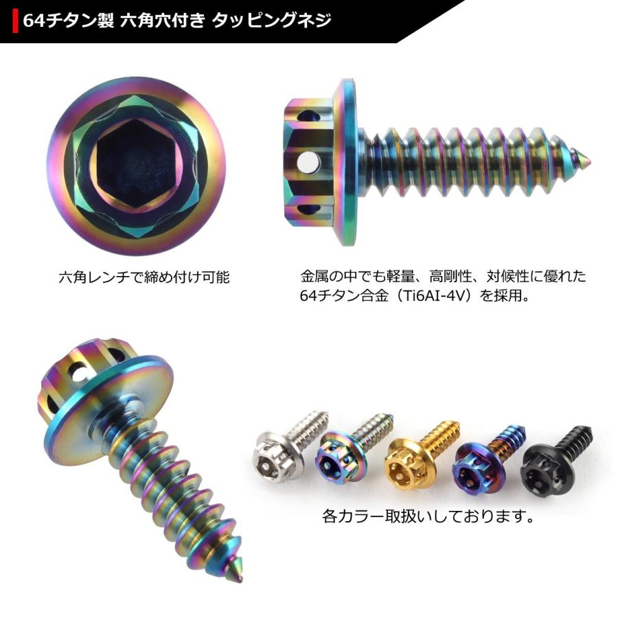 64チタンネジ M5×17mm ヘキサゴンヘッド タッピングネジ 六角穴付き 焼きチタンカラー ライトカラー 1個 JA604 | ブランド登録なし | 02