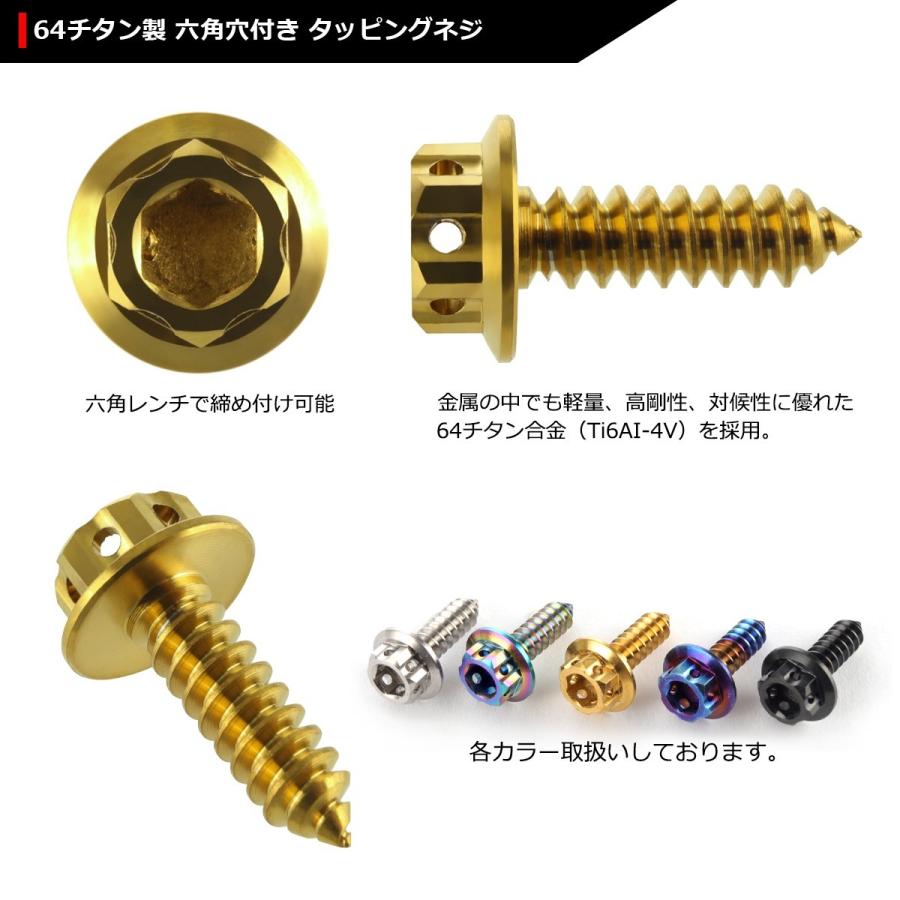 64チタンネジ M5×17mm ヘキサゴンヘッド タッピングネジ 六角穴付き ゴールドカラー 1個 JA605 | ブランド登録なし | 02