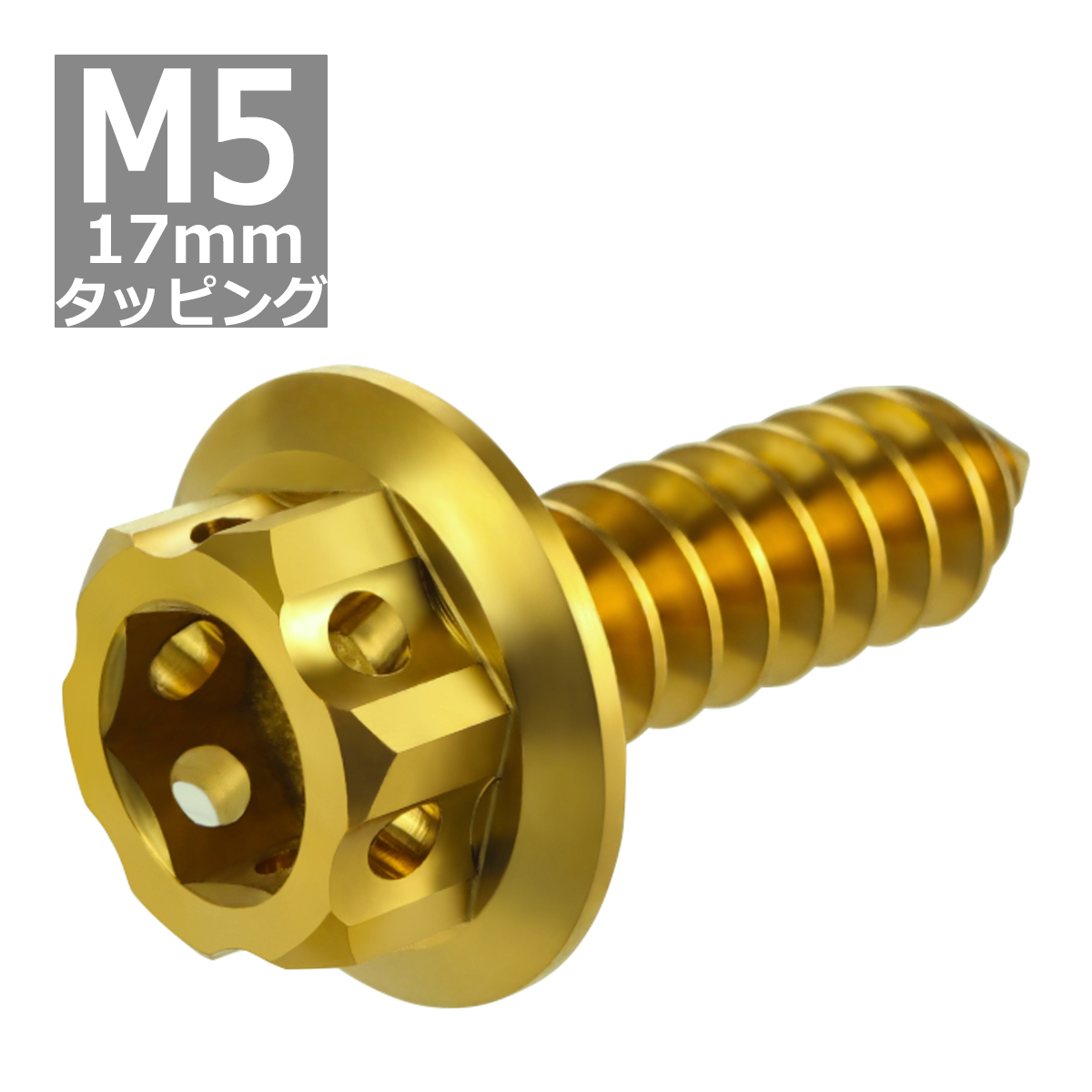 64チタンネジ M5×17mm ヘキサゴンヘッド タッピングネジ 六角穴付き ゴールドカラー 1個 JA605 | ブランド登録なし | 03