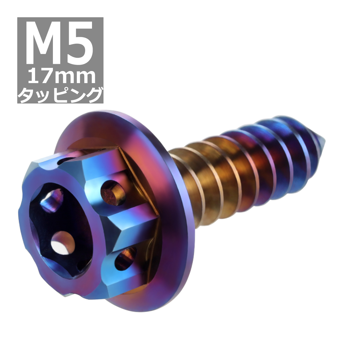 64チタンネジ M5×17mm ヘキサゴンヘッド タッピングネジ 六角穴付き 焼きチタンカラー ダークンカラー 1個 JA606 | ブランド登録なし | 03