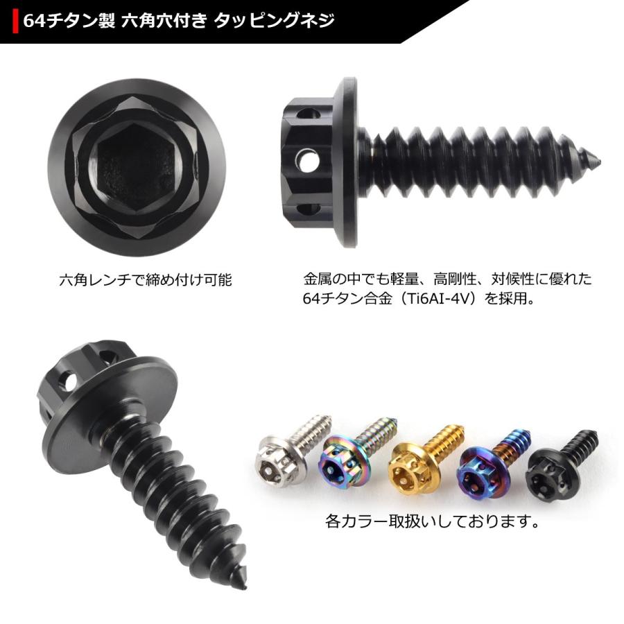 64チタンネジ M5×17mm ヘキサゴンヘッド タッピングネジ 六角穴付き ブラック 1個 JA607 | ブランド登録なし | 02