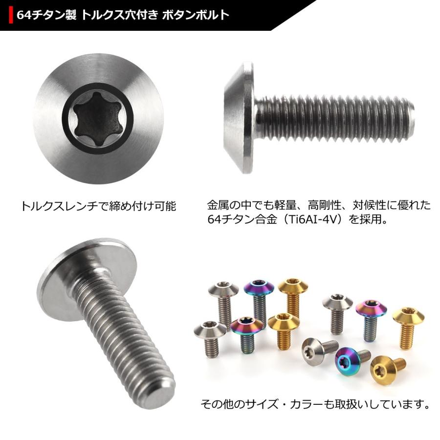 64チタンボルト M6×20mm P1.0 頭部径14mm テーパーヘッド トルクス穴 ボタンボルト シルバーカラー 素地 1個 JA631 | ブランド登録なし | 02