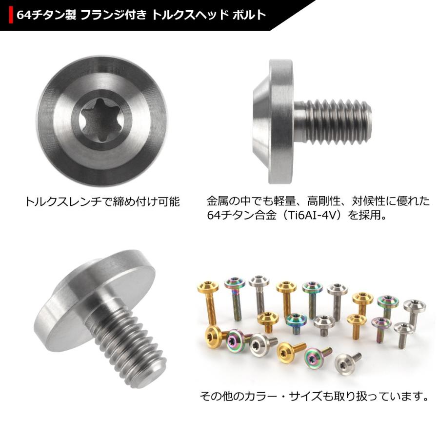64チタンボルト M6×10mm P1.0 トルクス穴 フランジ付き ボタンボルト シルバーカラー 素地 1個 JA651 | ブランド登録なし | 02