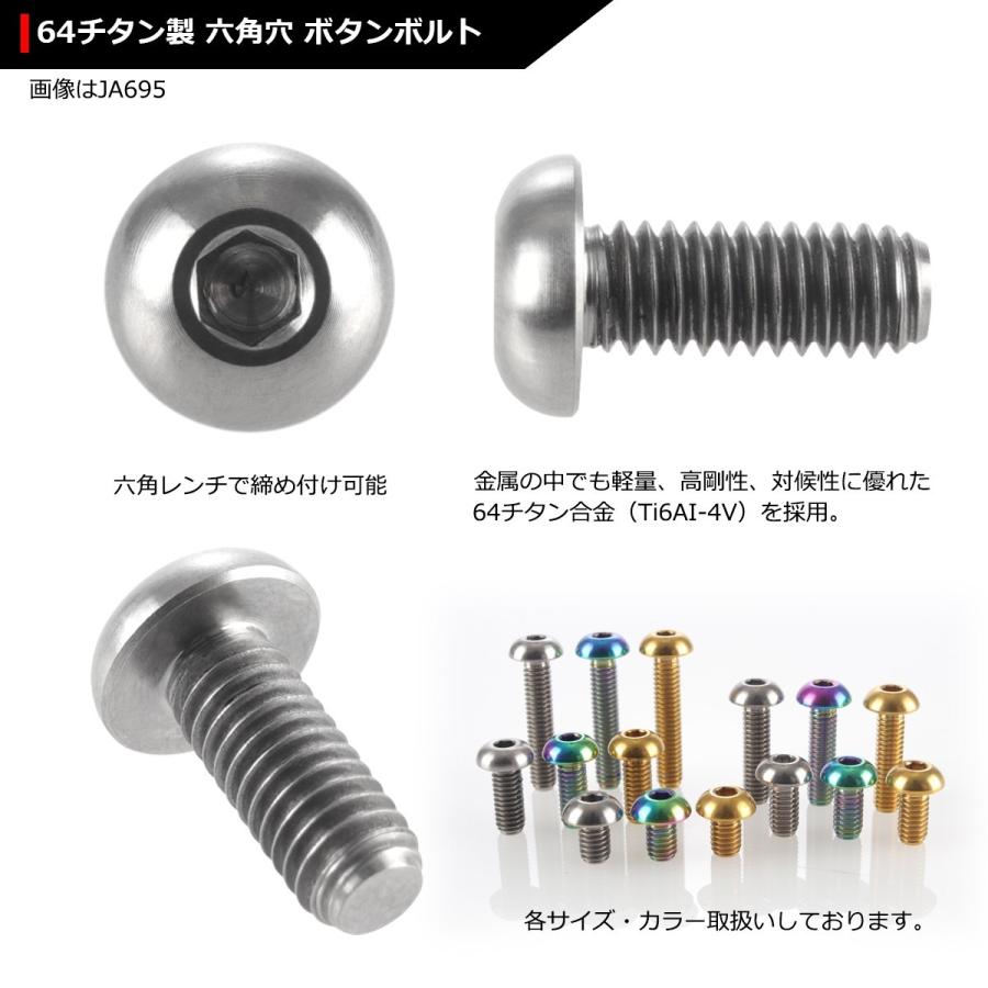64チタンボルト M4×10mm P0.7 トラスヘッド 六角穴付き ボタンボルト シルバーカラー 素地 1個 JA695 | ブランド登録なし | 02