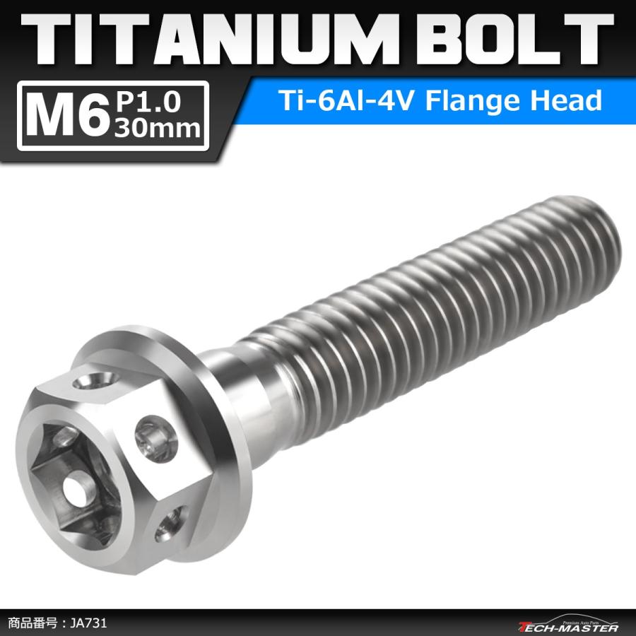 64チタンボルト M6×30mm P1.0 ホールヘッド 六角ボルト フランジ付き 六角ボルト シルバーカラー 素地 1個 JA731 | ブランド登録なし