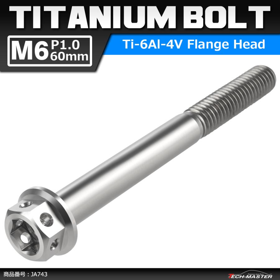 64チタンボルト M6×60mm P1.0 ホールヘッド 六角ボルト フランジ付き 六角ボルト シルバーカラー 素地 1個 JA743 | ブランド登録なし