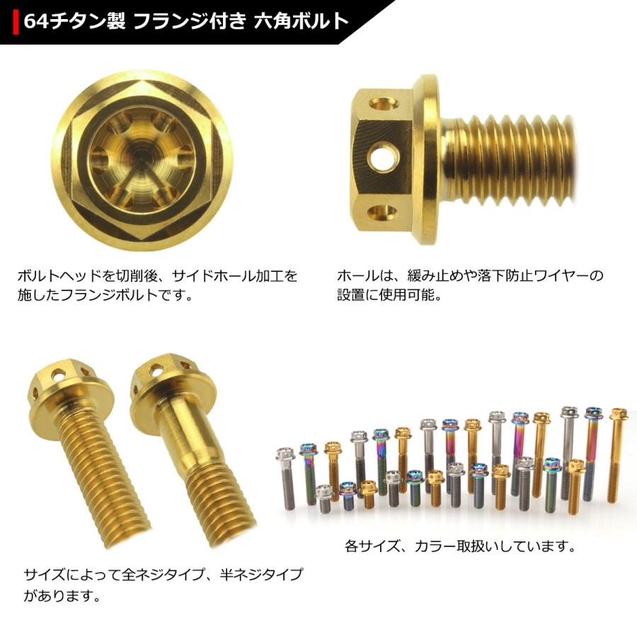 64チタンボルト M6×10mm P1.0 ホールヘッド 六角ボルト フランジ付 ゴールドカラー 1個 JA777 | ブランド登録なし | 02