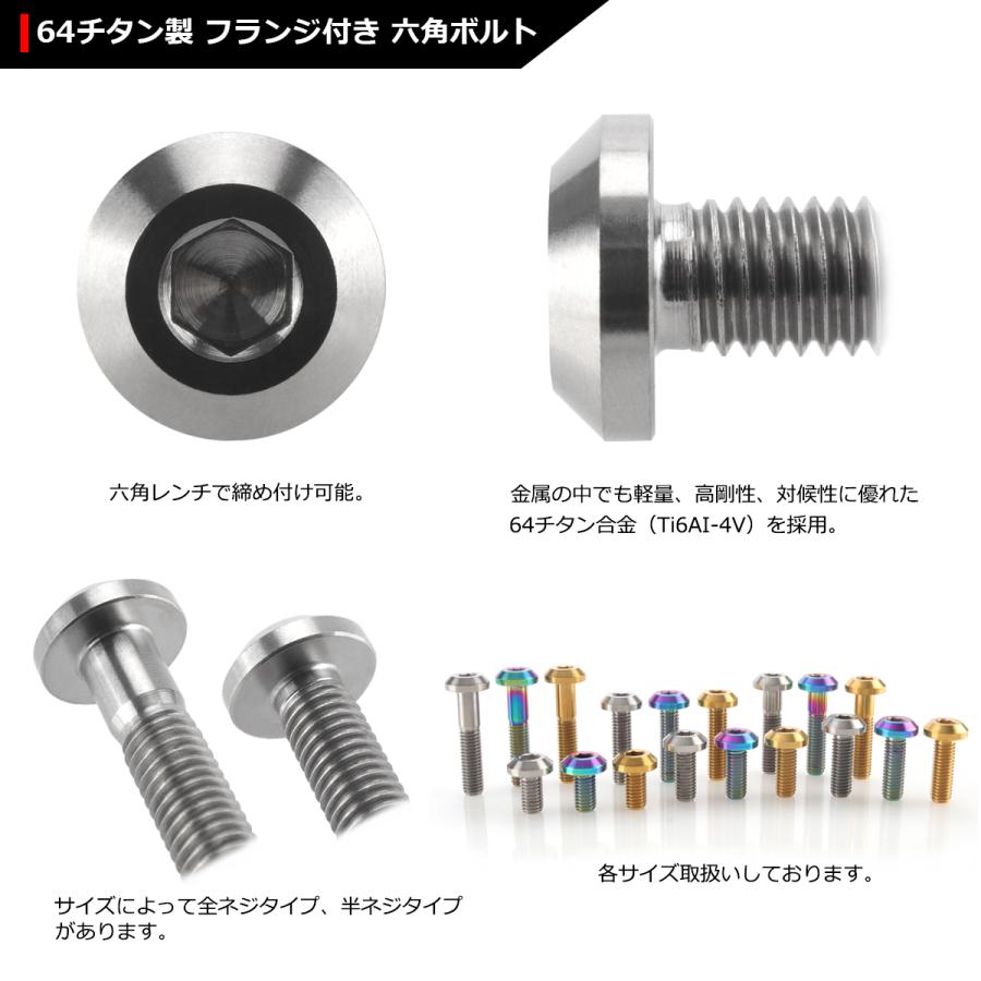 64チタンボルト M6×30mm P1.0 テーパーヘッド 六角穴 ボタンボルト シルバーカラー 素地 1個 JA858 | ブランド登録なし | 02
